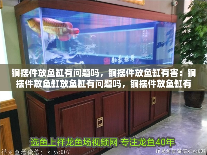 銅擺件放魚缸有問題嗎，銅擺件放魚缸有害：銅擺件放魚缸放魚缸有問題嗎，銅擺件放魚缸有害的嗎