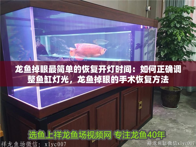 龍魚掉眼最簡單的恢復開燈時間：如何正確調整魚缸燈光，龍魚掉眼的手術恢復方法