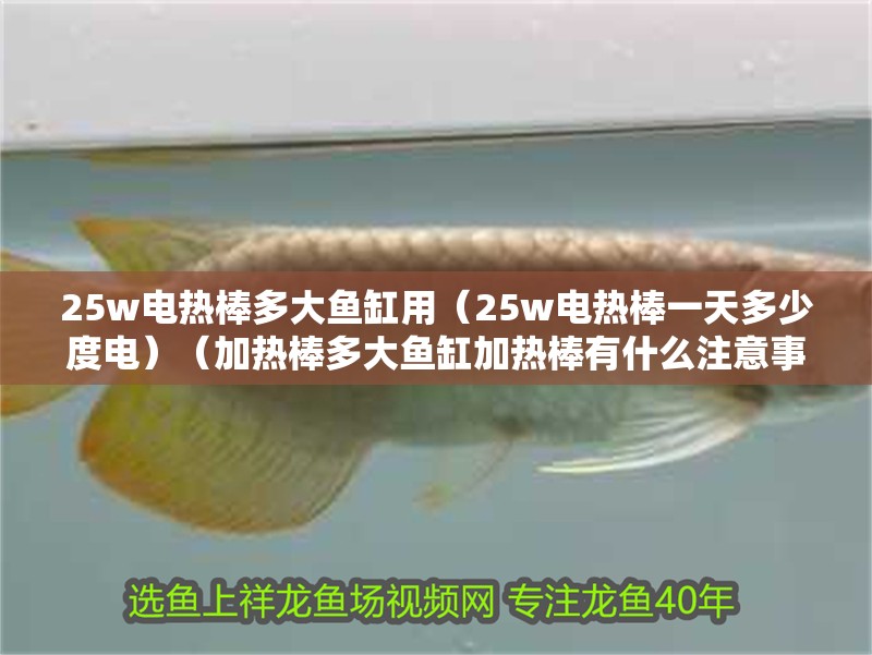 25w電熱棒多大魚(yú)缸用（25w電熱棒一天多少度電）（加熱棒多大魚(yú)缸加熱棒有什么注意事項(xiàng),25w電熱棒有什么注意事項(xiàng)）