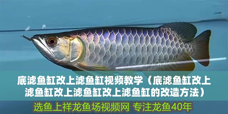 底濾魚缸改上濾魚缸視頻教學（底濾魚缸改上濾魚缸改上濾魚缸改上濾魚缸的改造方法）