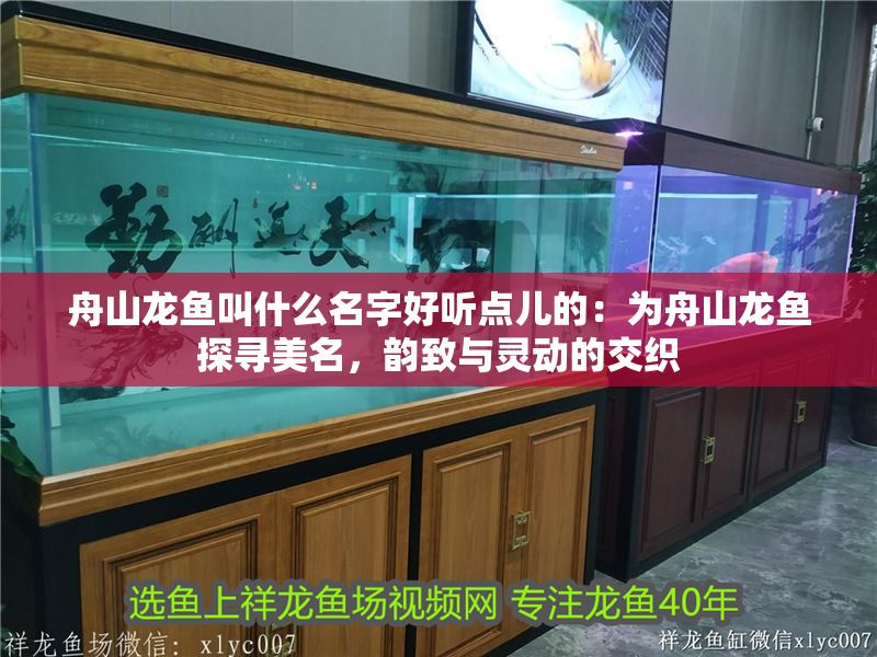 <strong><mark>舟山</mark></strong>龍魚叫什么名字好聽點兒的：為<strong><mark>舟山</mark></strong>龍魚探尋美名，韻致與靈動的交織