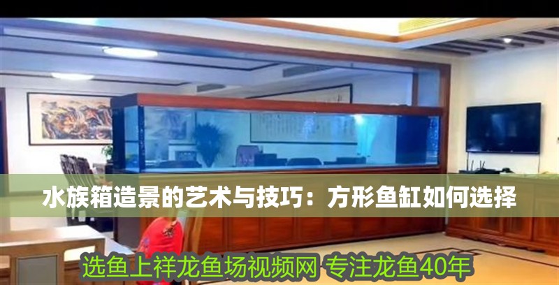 水族箱造景的藝術與技巧：方形魚缸如何選擇