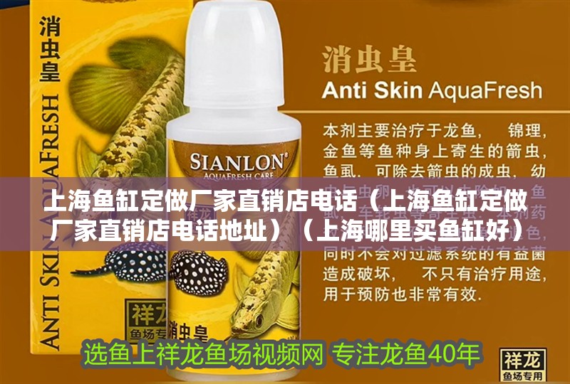 上海魚缸定做廠家直銷店電話（上海魚缸定做廠家直銷店電話地址）（上海哪里買魚缸好） 上海魚缸定做廠家直銷店電話（上海魚缸定做廠家直銷店電話地址）（上海哪里買魚缸好） 魚缸百科