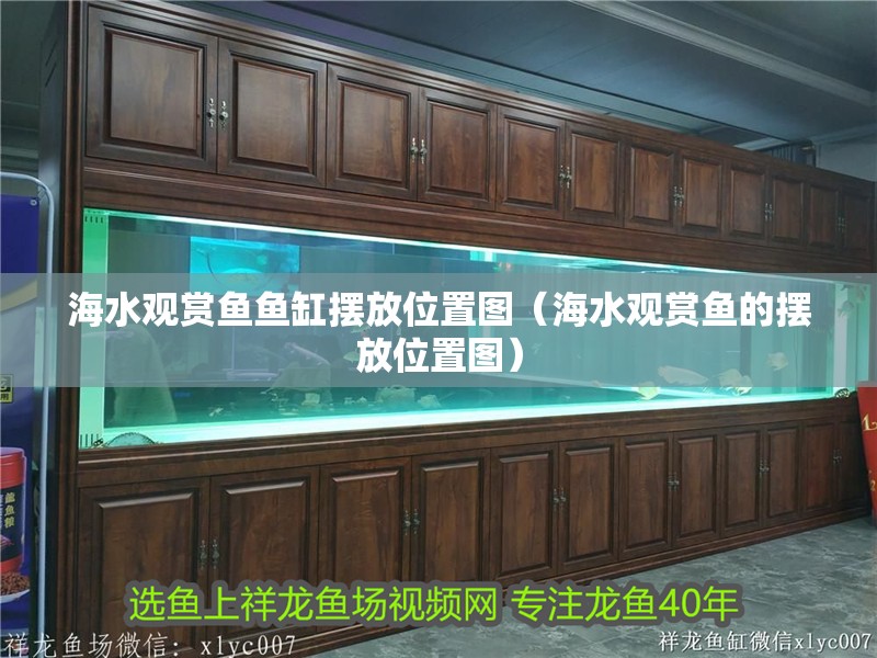 海水觀賞魚魚缸擺放位置圖（海水觀賞魚的擺放位置圖）