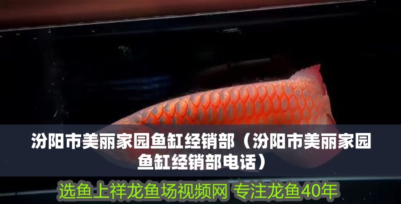 汾陽市美麗家園魚缸經銷部（汾陽市美麗家園魚缸經銷部電話）