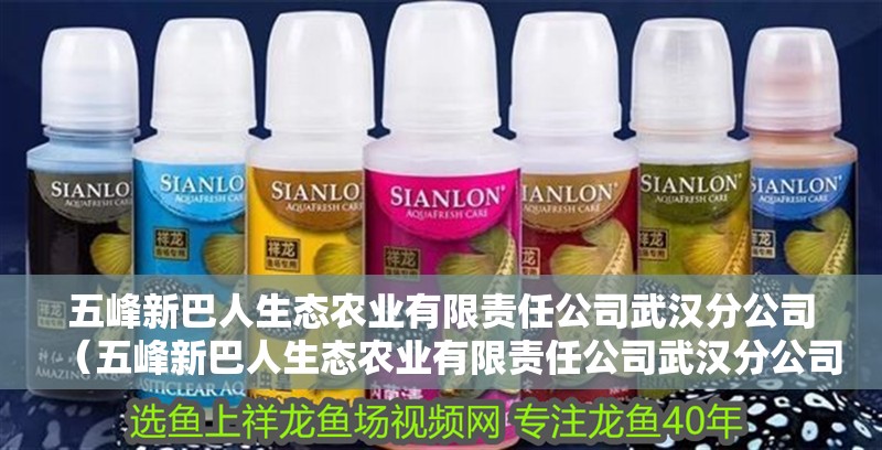 <strong><mark>五峰</mark></strong>新巴人生態農業有限責任公司武漢分公司（<strong><mark>五峰</mark></strong>新巴人生態農業有限責任公司武漢分公司）