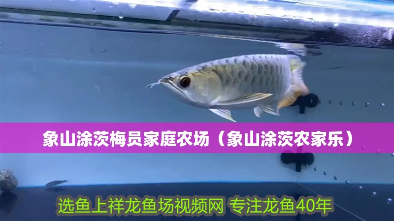 <strong><mark>象山</mark></strong>涂茨梅員家庭農(nóng)場(chǎng)（<strong><mark>象山</mark></strong>涂茨農(nóng)家樂(lè)）