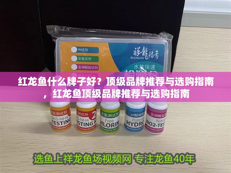 紅龍魚什么牌子好？頂級品牌推薦與選購指南，紅龍魚頂級品牌推薦與選購指南