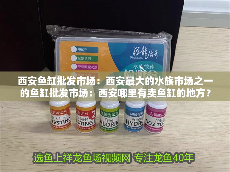 魚缸用增氧泵價格是多少:魚缸增氧機-xtrac增氧機-xtrac增氧機 西安魚缸批發市場:西安最大的水族市場之一的魚缸批發市場:西安哪里有賣魚缸的地方? 魚缸百科 西安魚缸批發市場:西安最大的水族市場之一的魚缸批發市場:西安哪里有賣魚缸的地方? 西安魚缸批發市場:西安最大的水族市場之一的魚缸批發市場:西安哪里有賣魚缸的地方? 魚缸百科