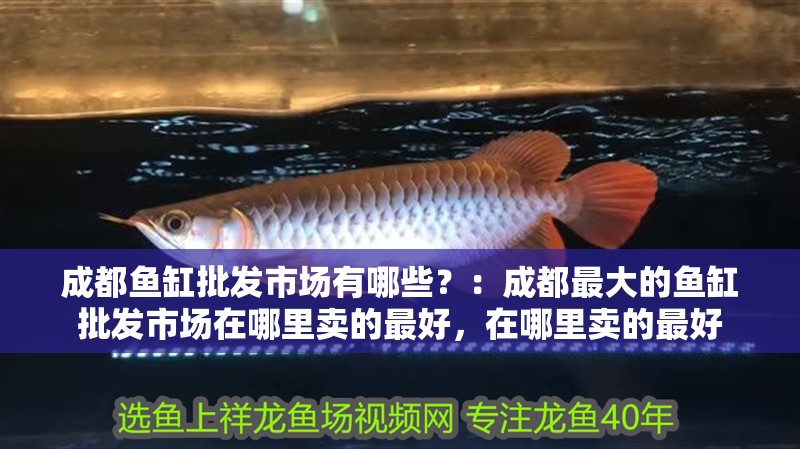 成都魚(yú)缸批發(fā)市場(chǎng)有哪些？：成都最大的魚(yú)缸批發(fā)市場(chǎng)在哪里賣(mài)的最好，在哪里賣(mài)的最好