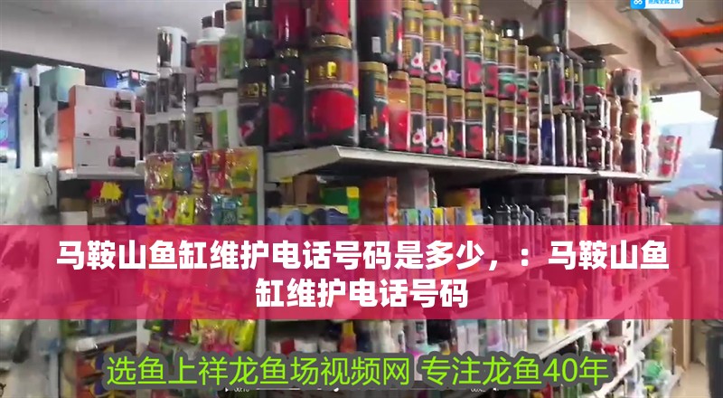 馬鞍山魚缸維護電話號碼是多少，：馬鞍山魚缸維護電話號碼 馬鞍山魚缸維護電話號碼是多少，：馬鞍山魚缸維護電話號碼 魚缸百科