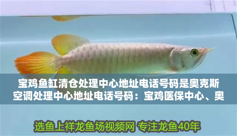 寶雞魚缸清倉處理中心地址電話號碼是奧克斯空調處理中心地址電話號碼：寶雞醫保中心、奧克斯家電、奧克斯空調、奧克斯空調、奧克斯空調