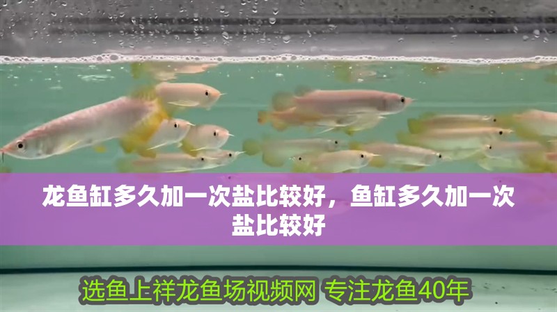 龍魚缸多久加一次鹽比較好，魚缸多久加一次鹽比較好