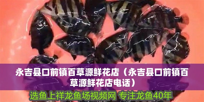 <strong><mark>永吉</mark></strong>縣口前鎮(zhèn)百草源鮮花店（<strong><mark>永吉</mark></strong>縣口前鎮(zhèn)百草源鮮花店電話）