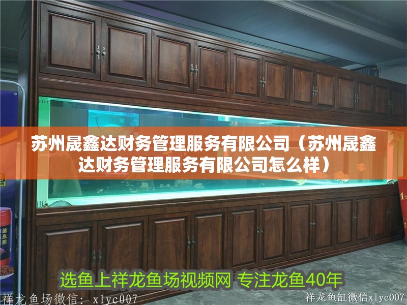 蘇州晟鑫達(dá)財(cái)務(wù)管理服務(wù)有限公司（蘇州晟鑫達(dá)財(cái)務(wù)管理服務(wù)有限公司怎么樣）