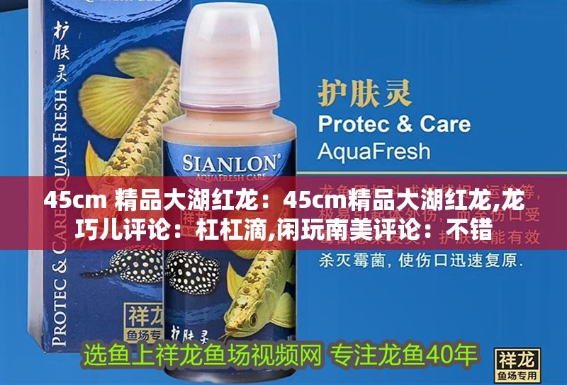 45cm 精品大湖紅龍：45cm精品大湖紅龍,龍巧兒評論：杠杠滴,閑玩南美評論：不錯