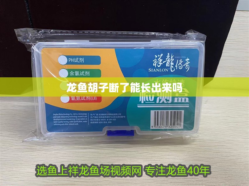 龍魚胡子斷了能長出來嗎 龍魚胡子斷了能長出來嗎 龍魚百科