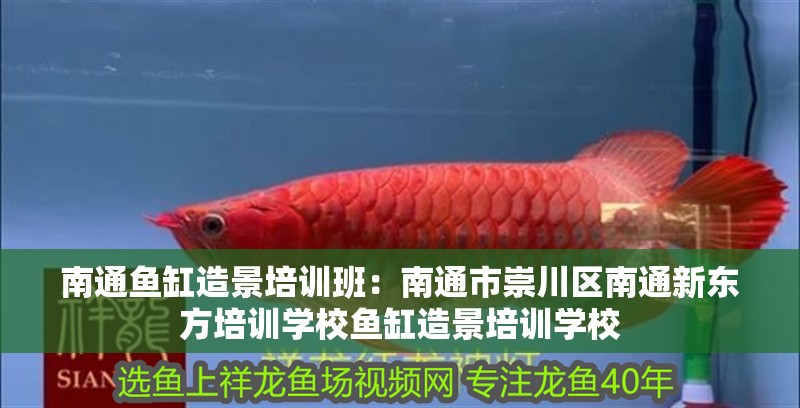 南通魚缸造景培訓班：南通市崇川區(qū)南通新東方培訓學校魚缸造景培訓學校