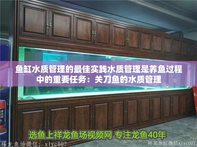 我的虎魚真菌感染了要怎么處理 魚缸水質管理的最佳實踐水質管理是養魚過程中的重要任務:關刀魚的水質管理 魚缸百科 魚缸水質管理的最佳實踐水質管理是養魚過程中的重要任務:關刀魚的水質管理 魚缸水質管理的最佳實踐水質管理是養魚過程中的重要任務:關刀魚的水質管理 魚缸百科