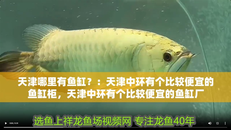 天津哪里有魚缸？：天津中環有個比較便宜的魚缸柜，天津中環有個比較便宜的魚缸廠