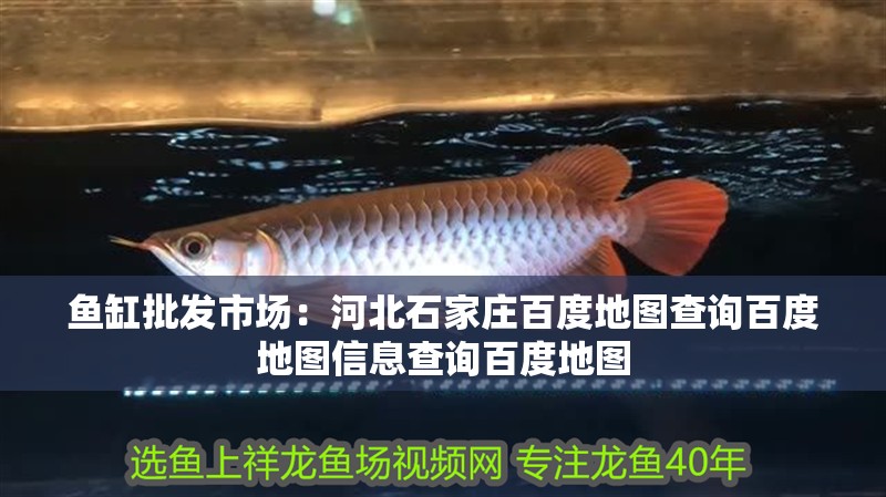 魚缸批發市場：河北石家莊百度地圖查詢百度地圖信息查詢百度地圖