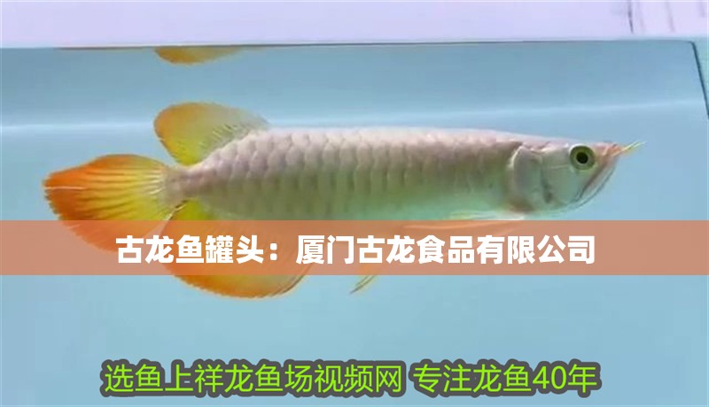 古龍魚罐頭：廈門古龍食品有限公司