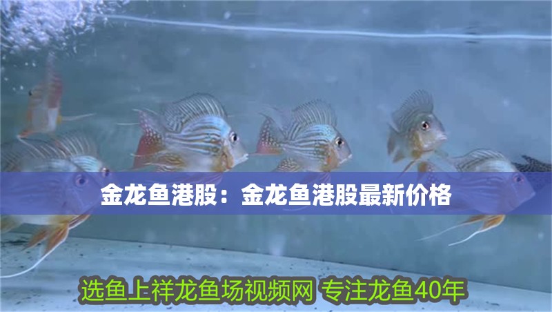 金龍魚港股：金龍魚港股最新價格
