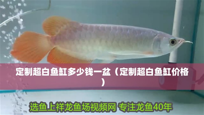 定制超白魚缸多少錢一盆（定制超白魚缸價格） 定制超白魚缸多少錢一盆（定制超白魚缸價格） 魚缸百科