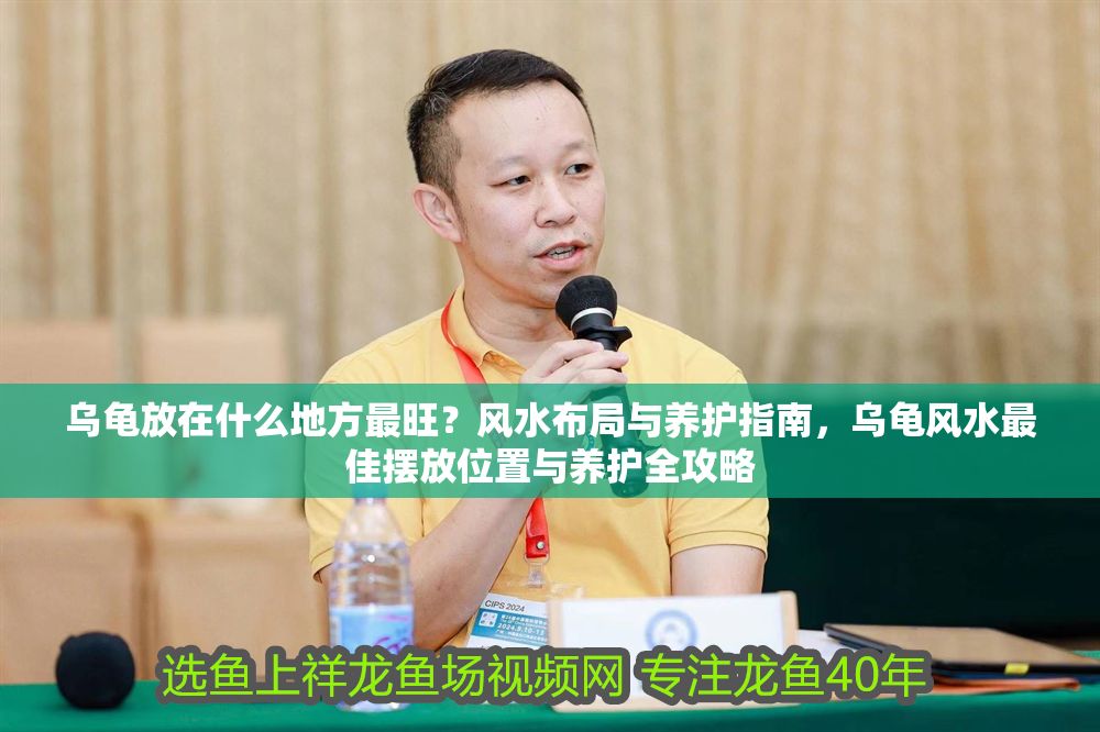 烏龜放在什么地方最旺？風水布局與養護指南，烏龜風水最佳擺放位置與養護全攻略 烏龜放在什么地方最旺？風水布局與養護指南，烏龜風水最佳擺放位置與養護全攻略 龍魚百科 第1張