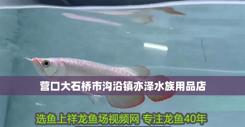 營口大石橋市溝沿鎮(zhèn)亦澤水族用品店