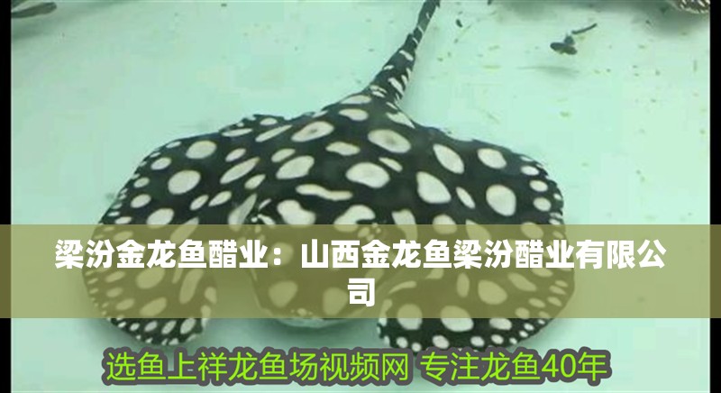 梁汾金龍魚醋業：山西金龍魚梁汾醋業有限公司