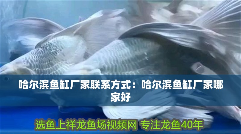 哈爾濱魚缸廠家聯系方式：哈爾濱魚缸廠家哪家好