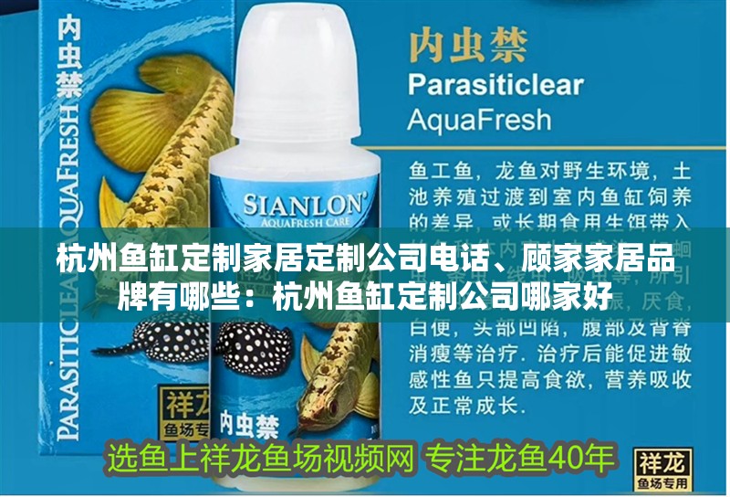 印尼虎魚多少溫度飼養最好:印尼虎魚多少溫度飼養最好印尼虎魚多少溫度飼養最好 杭州魚缸定制家居定制公司電話、顧家家居品牌有哪些:杭州魚缸定制公司哪家好 魚缸百科 杭州魚缸定制家居定制公司電話、顧家家居品牌有哪些:杭州魚缸定制公司哪家好 杭州魚缸定制家居定制公司電話、顧家家居品牌有哪些:杭州魚缸定制公司哪家好 魚缸百科