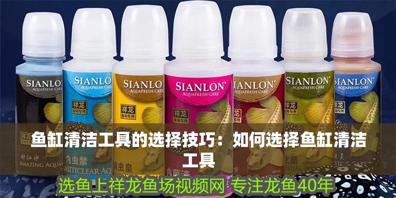 魚缸清潔工具的選擇技巧：如何選擇魚缸清潔工具