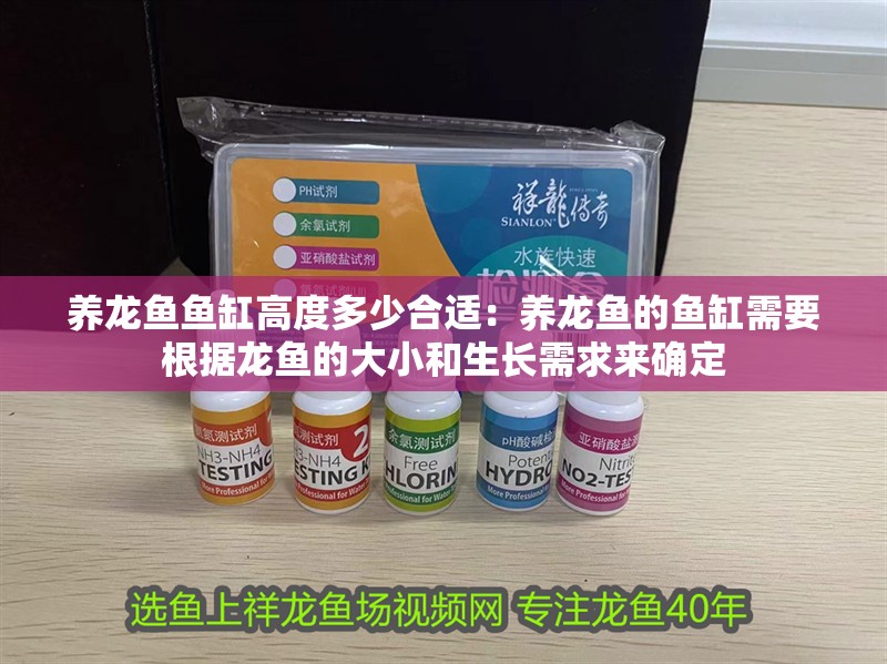 養龍魚魚缸高度多少合適：養龍魚的魚缸需要根據龍魚的大小和生長需求來確定