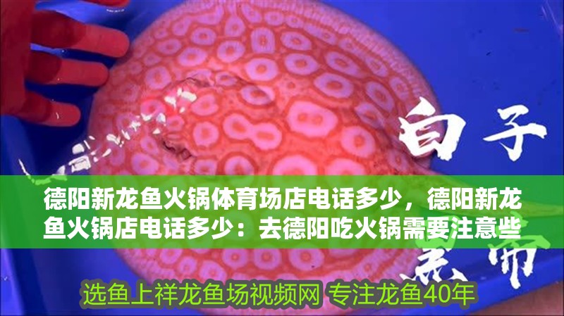 德陽新龍魚火鍋體育場店電話多少，德陽新龍魚火鍋店電話多少：去德陽吃火鍋需要注意些什么？
