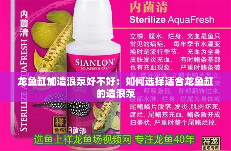 龍魚缸加造浪泵好不好：如何選擇適合龍魚缸的造浪泵