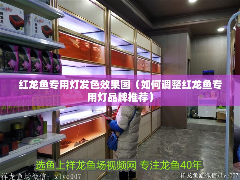 紅龍魚專用燈發色效果圖（如何調整紅龍魚專用燈品牌推薦）