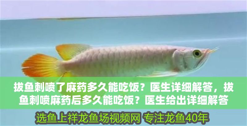 拔魚刺噴了麻藥多久能吃飯？醫(yī)生詳細(xì)解答，拔魚刺噴麻藥后多久能吃飯？醫(yī)生給出詳細(xì)解答 拔魚刺噴了麻藥多久能吃飯？醫(yī)生詳細(xì)解答，拔魚刺噴麻藥后多久能吃飯？醫(yī)生給出詳細(xì)解答 龍魚常見疾病 第1張