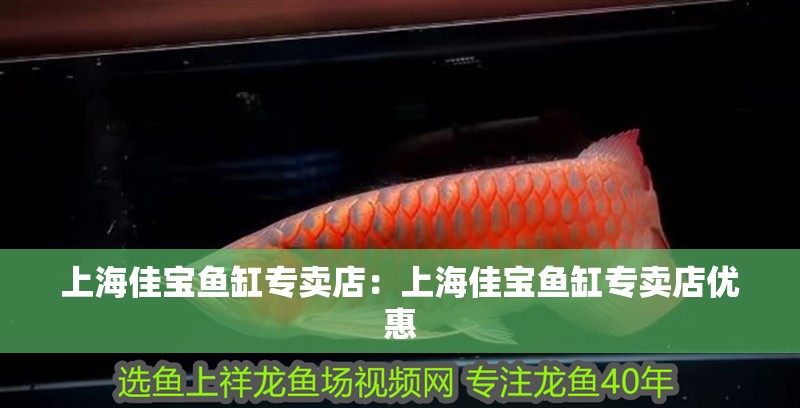 上海佳寶魚缸專賣店：上海佳寶魚缸專賣店優惠