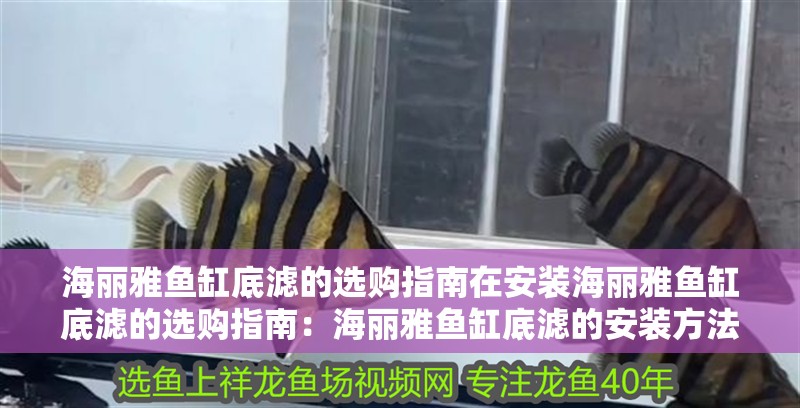 海麗雅魚缸底濾的選購指南在安裝海麗雅魚缸底濾的選購指南：海麗雅魚缸底濾的安裝方法 海麗雅魚缸底濾的選購指南在安裝海麗雅魚缸底濾的選購指南：海麗雅魚缸底濾的安裝方法 魚缸百科