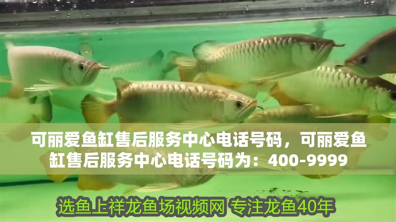 可麗愛魚缸售后服務(wù)中心電話號(hào)碼，可麗愛魚缸售后服務(wù)中心電話號(hào)碼為：400-9999