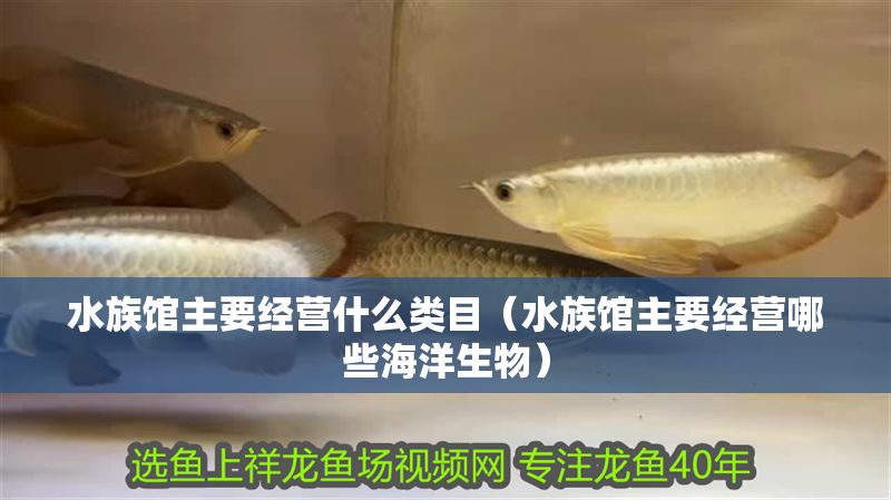 水族館主要經(jīng)營(yíng)什么類目（水族館主要經(jīng)營(yíng)哪些海洋生物）