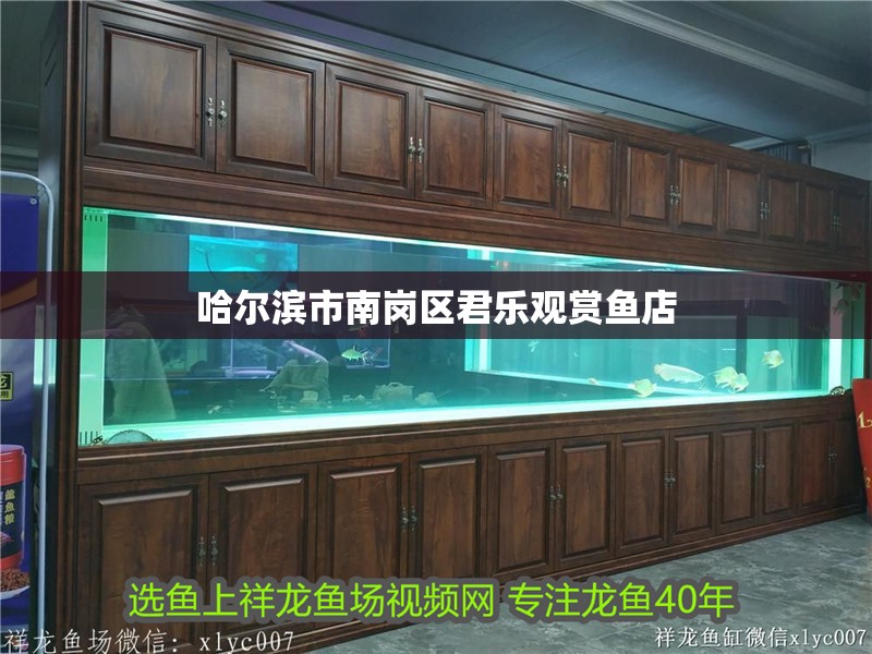 哈爾濱市南崗區(qū)君樂觀賞魚店