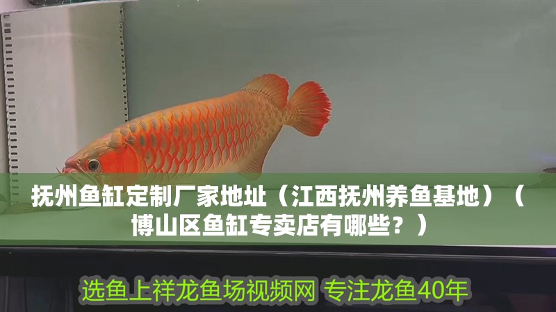 撫州魚缸定制廠家地址（江西撫州養魚基地）（博山區魚缸專賣店有哪些？）