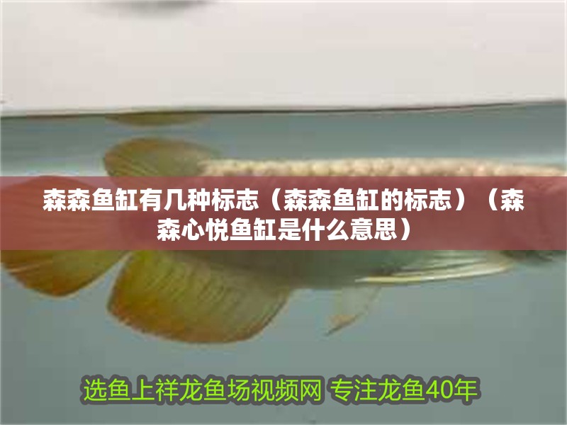森森魚缸有幾種標志（森森魚缸的標志）（森森心悅魚缸是什么意思） 森森魚缸有幾種標志（森森魚缸的標志）（森森心悅魚缸是什么意思） 魚缸百科