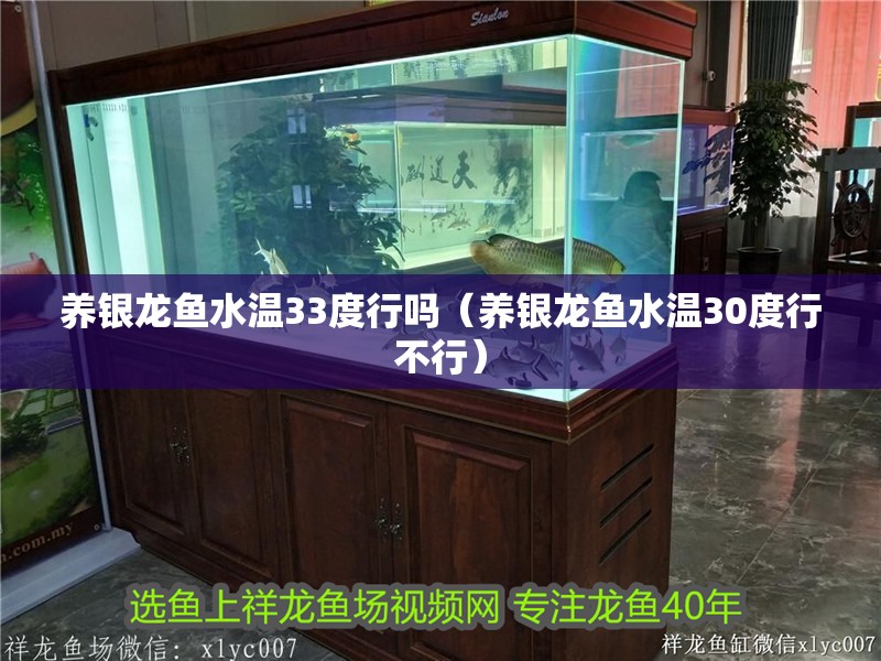 魚缸過濾器選購指南:自制魚缸過濾器魚缸上置過濾器對于養魚愛好者的必備知識 養銀龍魚水溫33度行嗎(養銀龍魚水溫30度行不行) 銀龍魚百科 養銀龍魚水溫33度行嗎(養銀龍魚水溫30度行不行) 養銀龍魚水溫33度行嗎(養銀龍魚水溫30度行不行) 銀龍魚百科