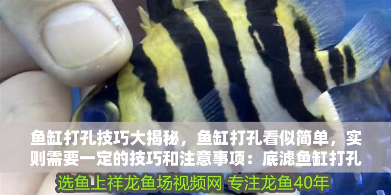 魚缸打孔技巧大揭秘，魚缸打孔看似簡(jiǎn)單，實(shí)則需要一定的技巧和注意事項(xiàng)：底濾魚缸打孔技巧大揭秘魚缸打孔技巧大揭秘魚缸打孔技巧