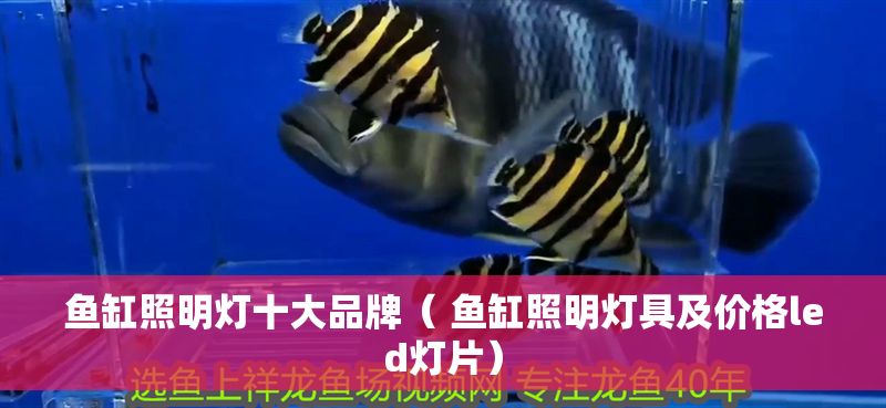魚缸照明燈十大品牌（ 魚缸照明燈具及價格led燈片）