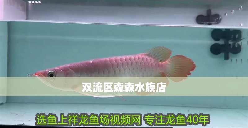 雙流區森森水族店